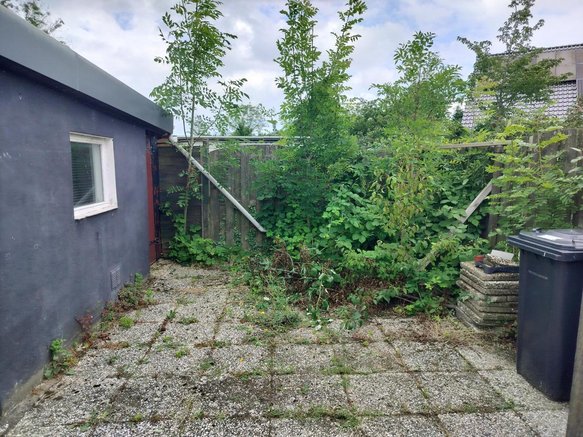 Solstice, Quiet Cottage In Bruinisse, Zeeland Zewnętrze zdjęcie